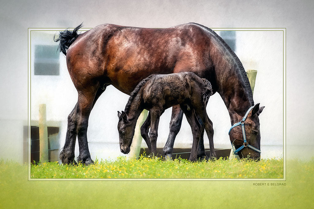 &quot;Afternoon Snack&quot; 4x6 Metal Print &amp; Stand