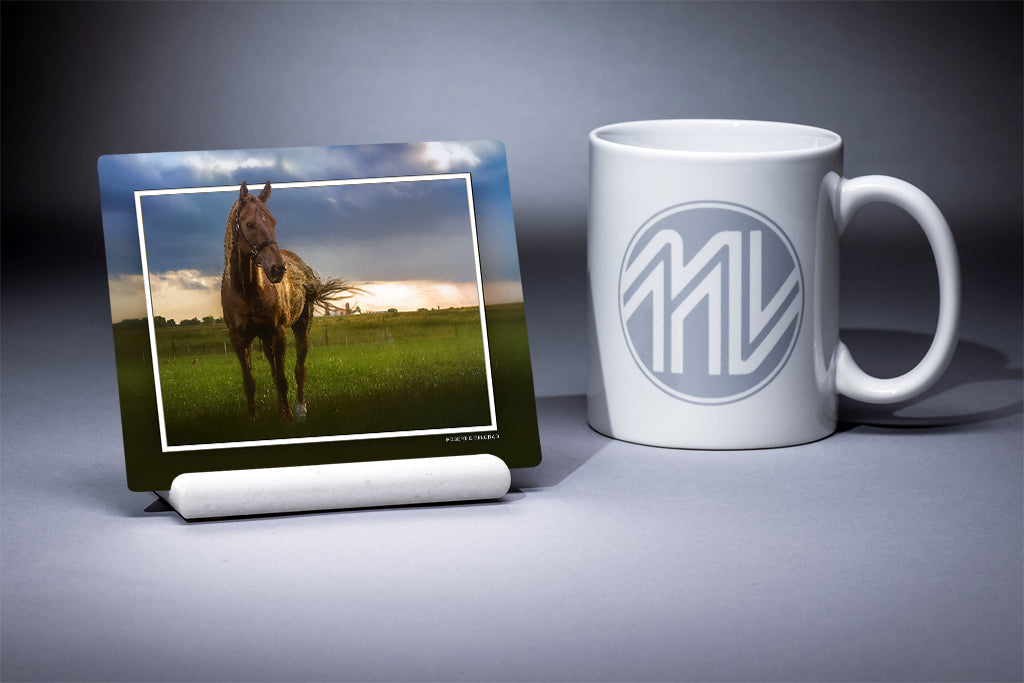 "Horsing Around" 4x5 Metal Print & Stand