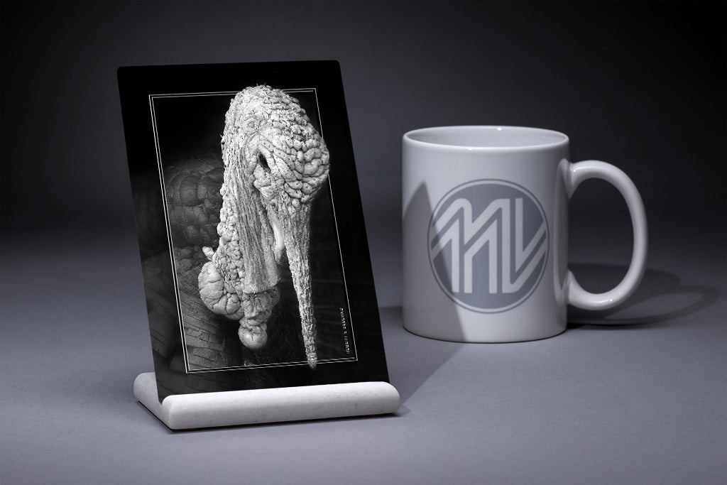 &quot;Young Tom&quot; 4x6 Metal Print &amp; Stand