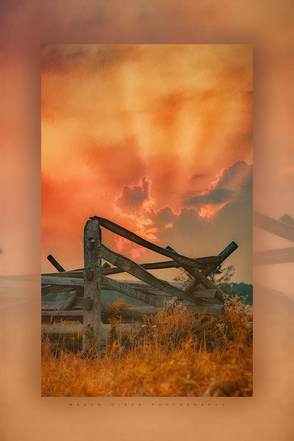 "Split-Rail Fence in Rose Orange Light" 6x9 Metal Print & Stand