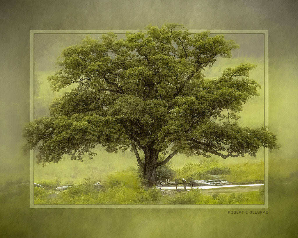 &quot;Witness in Green&quot; 4x5 Metal Print &amp; Stand