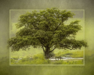 "Witness in Green" 4x5 Metal Print & Stand