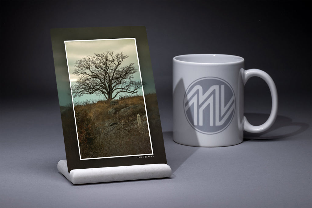 &quot;Promotional Witness&quot; 4x6 Metal Print &amp; Stand