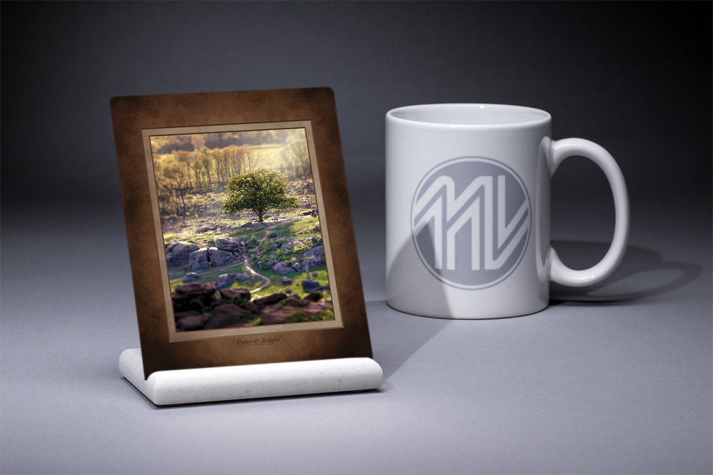 "Gazing Across the Valley of Death" 4x5 Metal Print & Stand