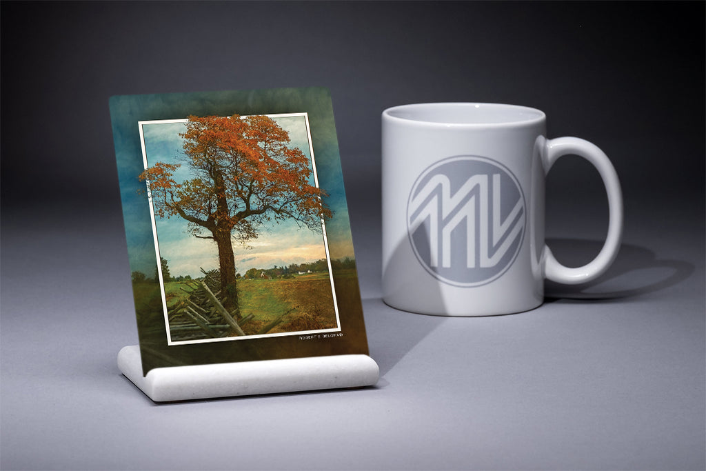 "Fence and Tree" 4x5 Metal Print & Stand