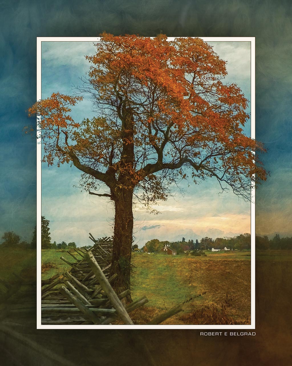 &quot;Fence and Tree&quot; 4x5 Metal Print &amp; Stand