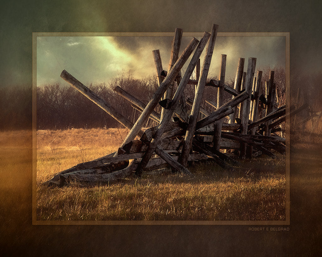 &quot;Bones of Contention&quot; 4x5 Metal Print &amp; Stand