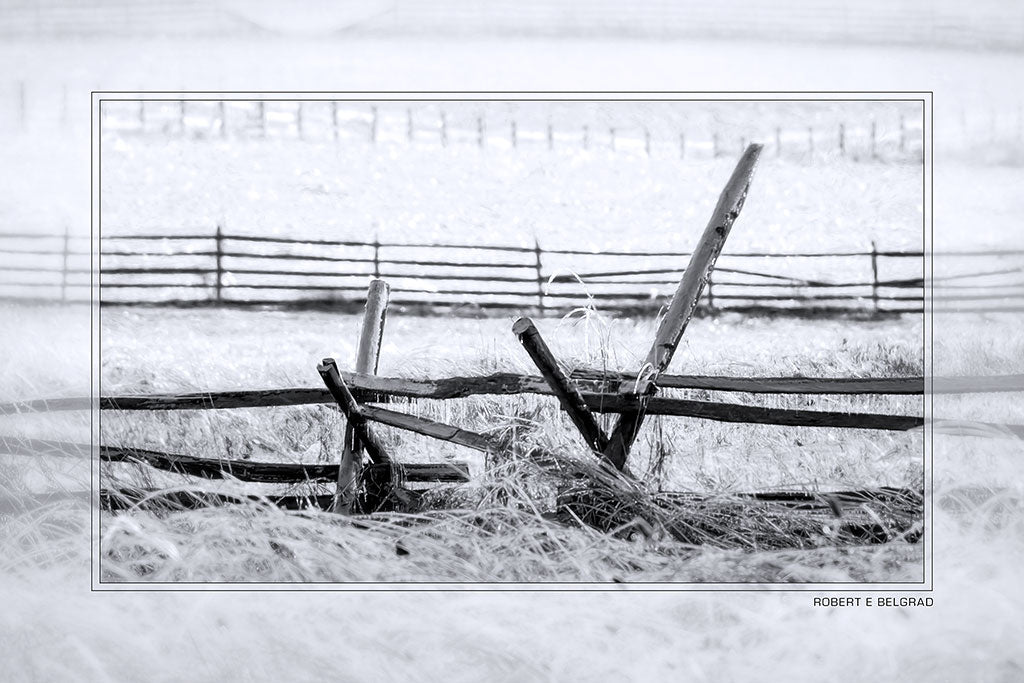 &quot;Frozen Fence&quot; 4x6 Metal Print &amp; Stand