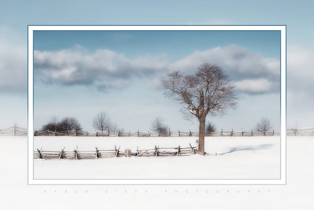 "Winters Lone Watchman" 6x9 Metal Print with Stand