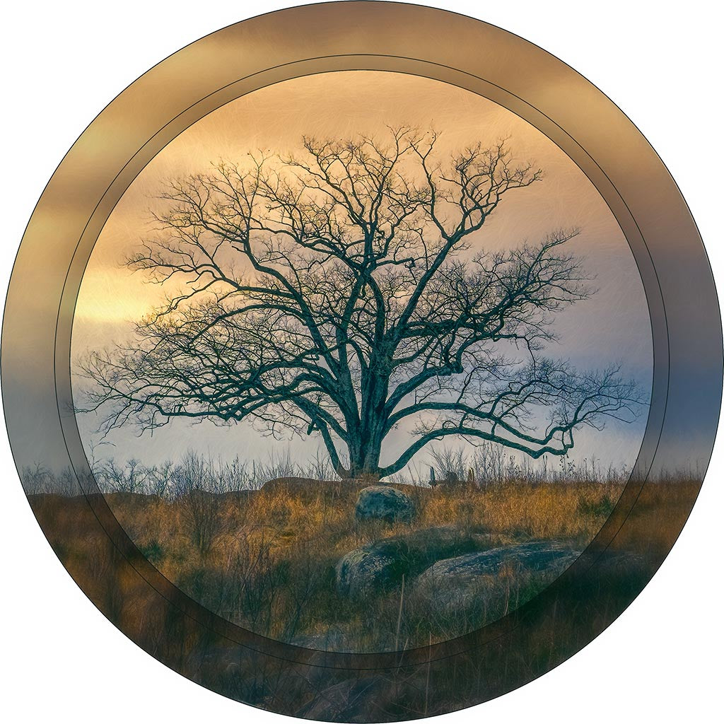 &quot;Witness Tree&quot; 8 Inch Round Metal Print with Stand