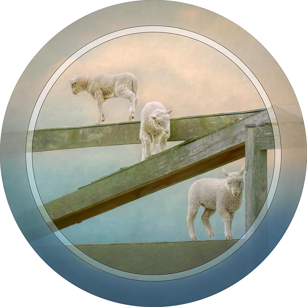 &quot;Three Little Lambs&quot; 8 Inch Round Metal Print with Stand