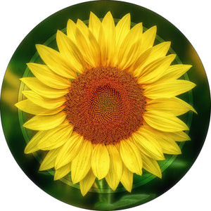 "Sunflower" 8 Inch Round Metal Print with Stand