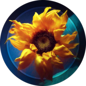 "Sun and Silk" 8 Inch Round Metal Print with Stand