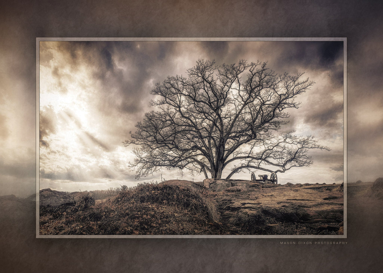 Collectible Witness Tree Keepsake with Note Card