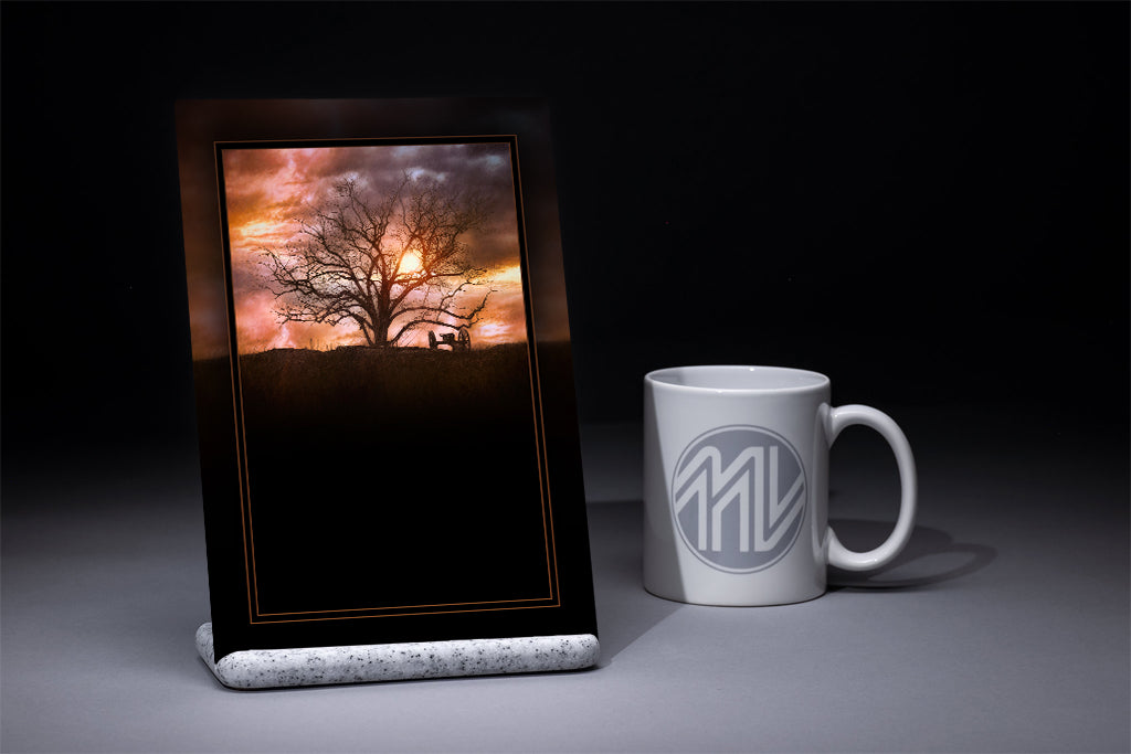 "Witness Tree" 6x9 Metal Print & Stand