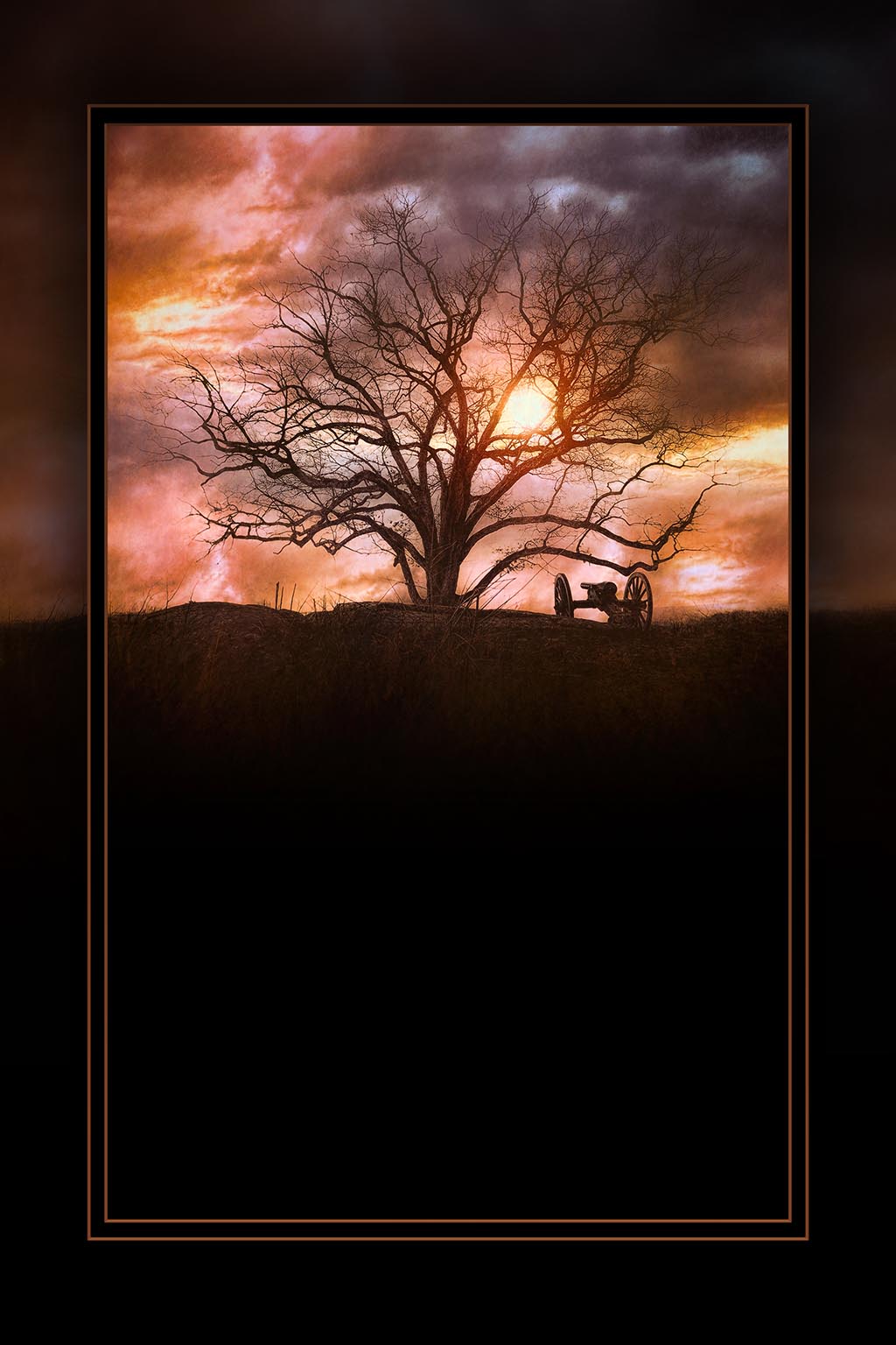 "Witness Tree" 6x9 Metal Print & Stand