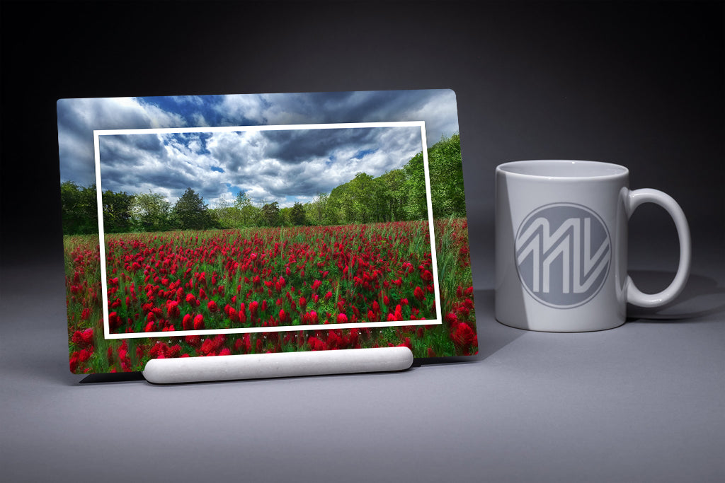 &quot;East Cavalry Field in Bloom&quot; 6x9 Metal Print with Stand