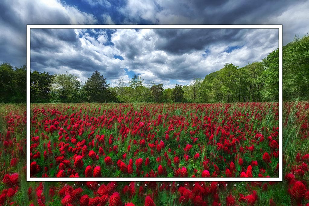 &quot;East Cavalry Field in Bloom&quot; 6x9 Metal Print with Stand