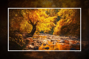 "Enchanted Autumn Glade" 6x9 Metal Print with Stand