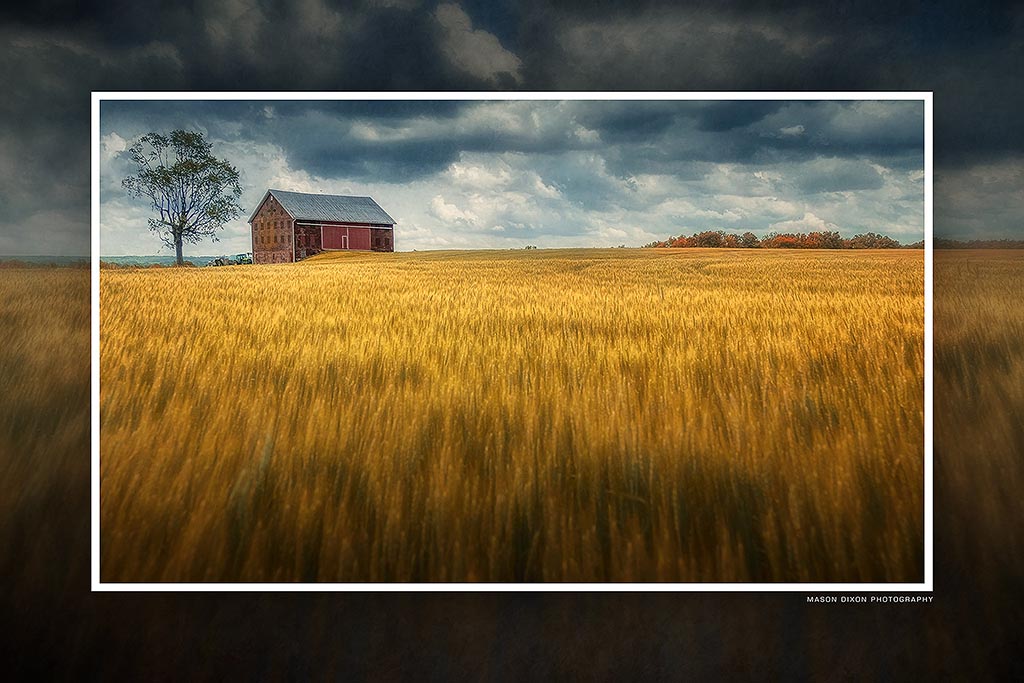 &quot;The Overseer&quot; 6x9 Metal Print with Stand