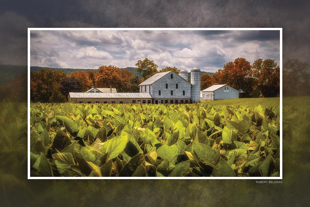 &quot;Tobacco Farm&quot; 4x6 Metal Print &amp; Stand