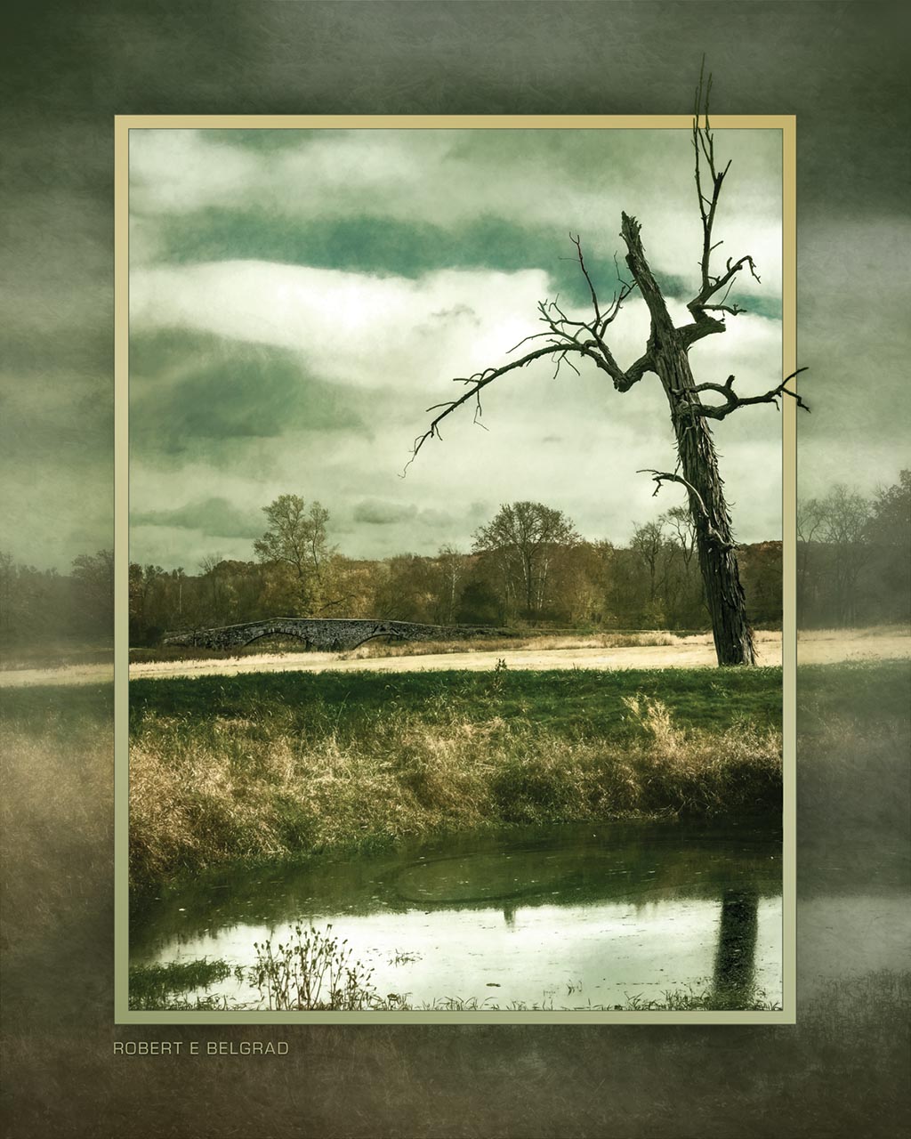 "Silent Reflection" 4x5 Metal Print & Stand