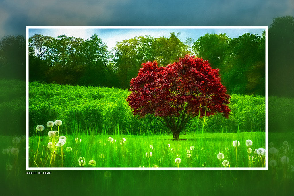 "Red Tree in a Green Field" 6x9 Metal Print with Stand