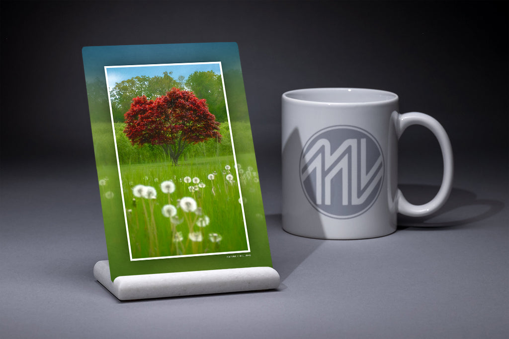 &quot;Red Tree in a Field&quot; 4x6 Metal Print &amp; Stand