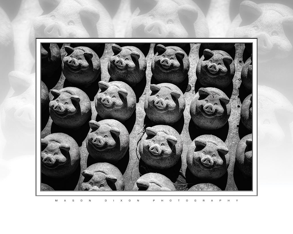 "Concrete Piggies Sitting in the Sun" 4x5 Metal Print & Stand