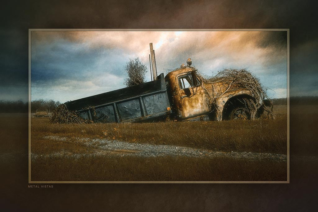 &quot;Reclaimed by the Land&quot; 6x9 Metal Print &amp; Stand