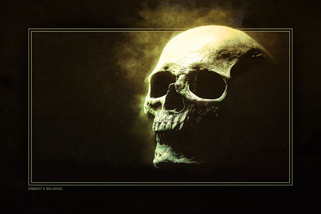 "Yorick" 4x6 Metal Print & Stand