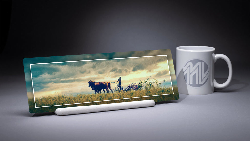 "Dawn's Bounty" 4x12 Panoramic Metal Print with Stand