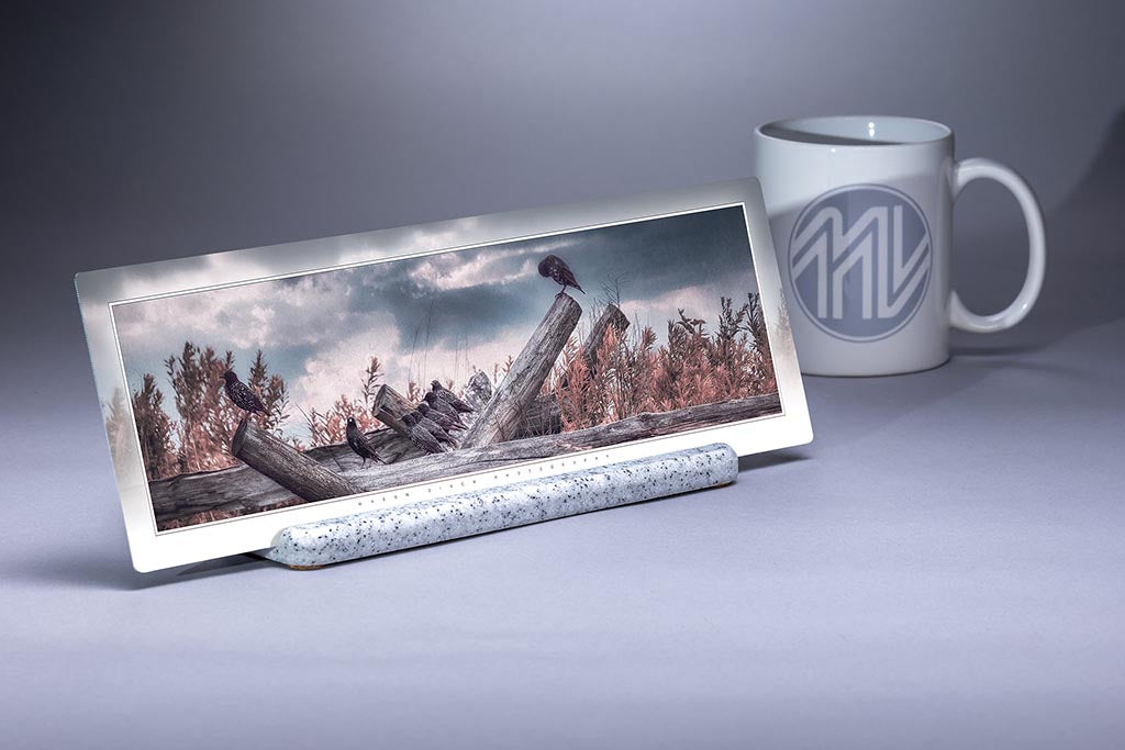 "Battlefield Birds" 4x12 Panoramic Metal Print with Stand