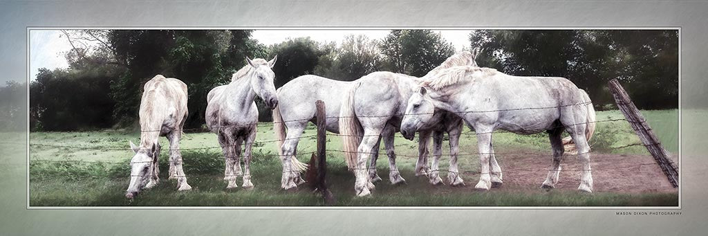 &quot;The Team&quot; 4x12 Panoramic Metal Print with Stand