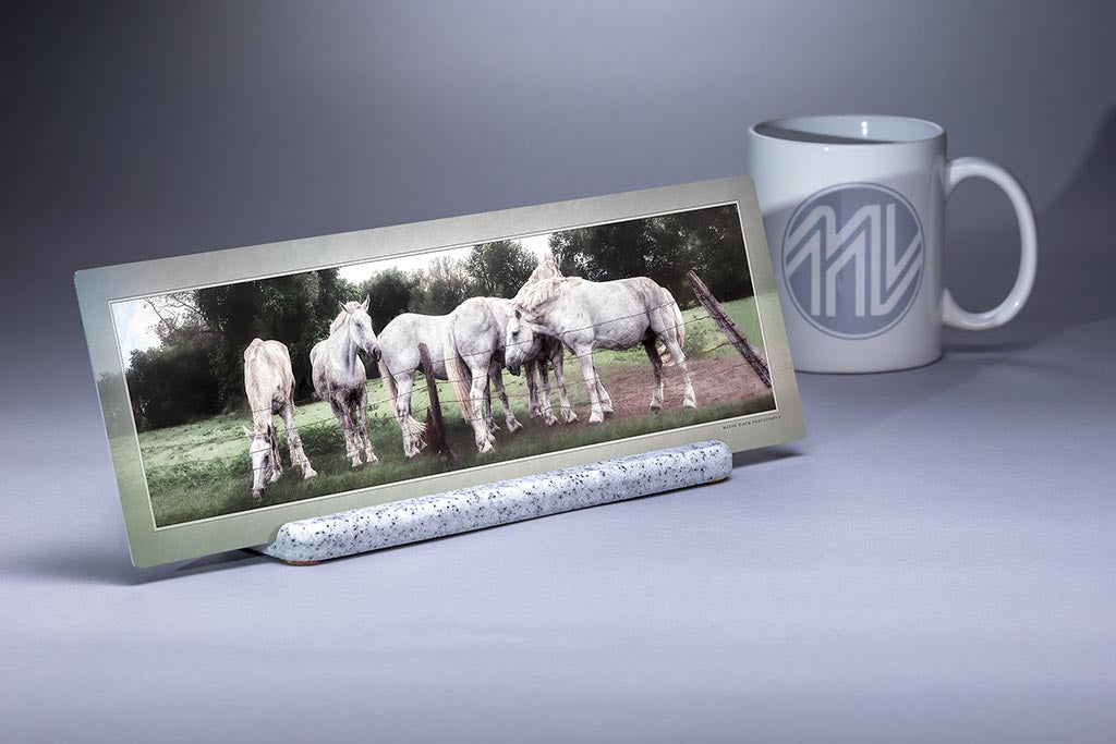 &quot;The Team&quot; 4x12 Panoramic Metal Print with Stand