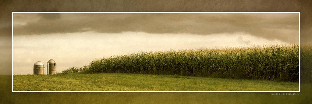 &quot;Fertile Field, Stormy Sky&quot; 4x12 Panoramic Metal Print with Stand