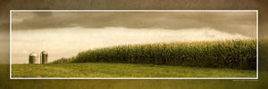 "Fertile Field, Stormy Sky" 4x12 Panoramic Metal Print with Stand
