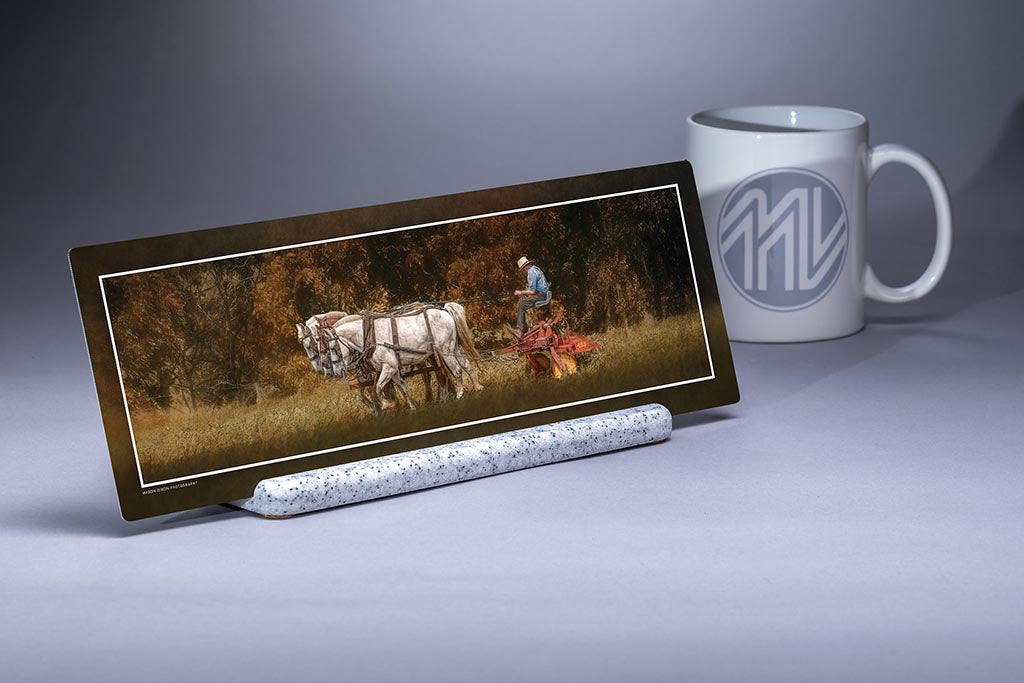 "Straining in Late Afternoon" 4x12 Panoramic Metal Print with Stand