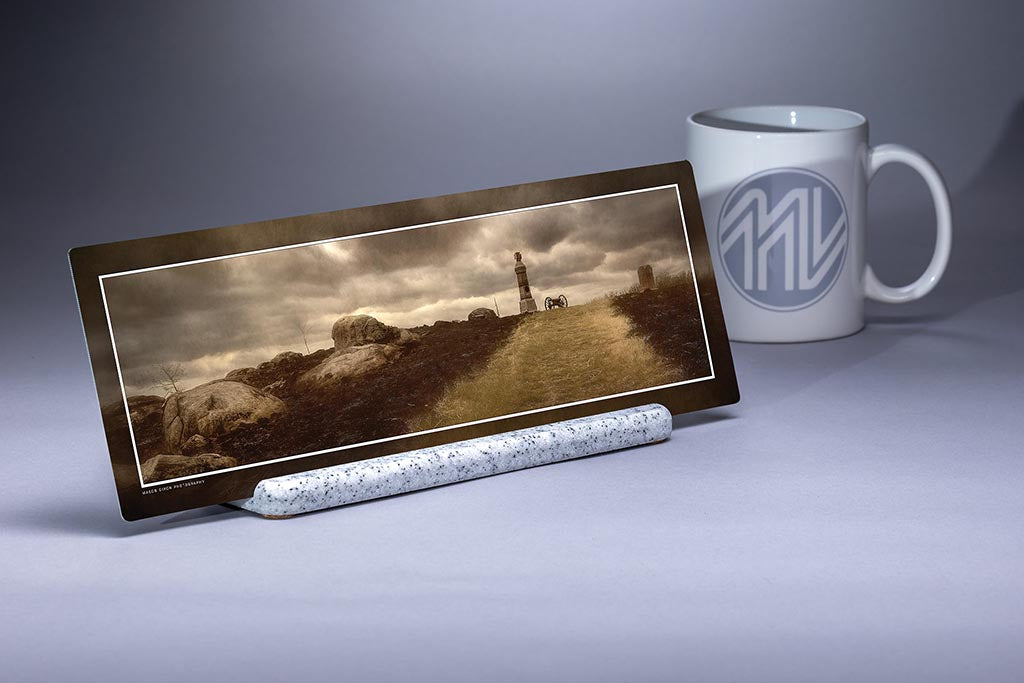 &quot;Solitary Sentinel&quot; 4x12 Panoramic Metal Print with Stand