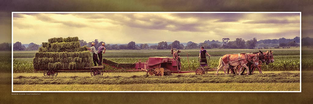 &quot;The Hay Makers&quot; 4x12 Panoramic Metal Print with Stand