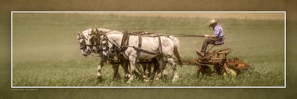 &quot;Painting the Land in Bounty&quot; 4x12 Panoramic Metal Print with Stand