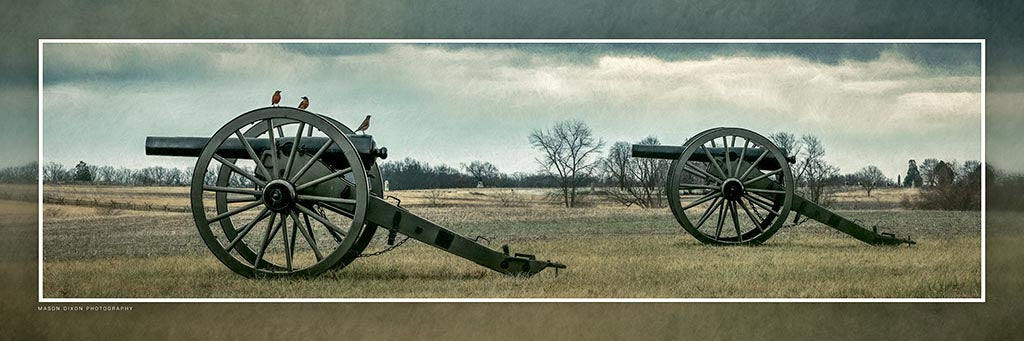 &quot;The Bird Brigade&quot; 4x12 Panoramic Metal Print with Stand