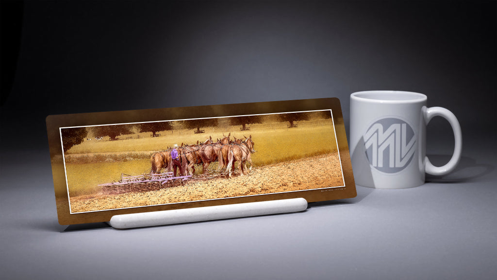 &quot;Little Man Working a Big Team&quot; 4x12 Panoramic Metal Print with Stand