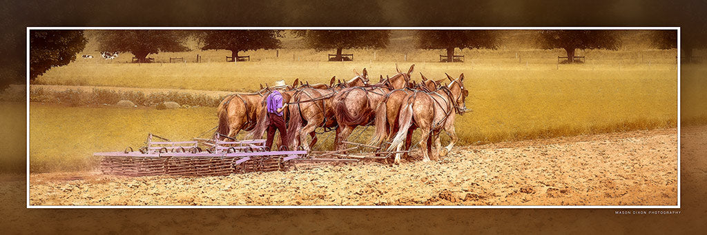 &quot;Little Man Working a Big Team&quot; 4x12 Panoramic Metal Print with Stand