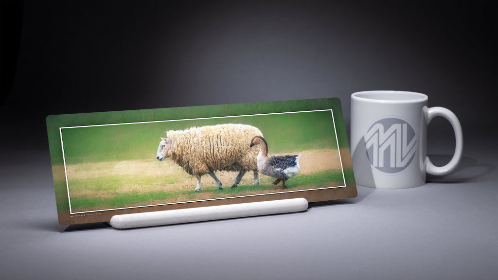 &quot;Bosom Buddies&quot; 4x12 Panoramic Metal Print with Stand