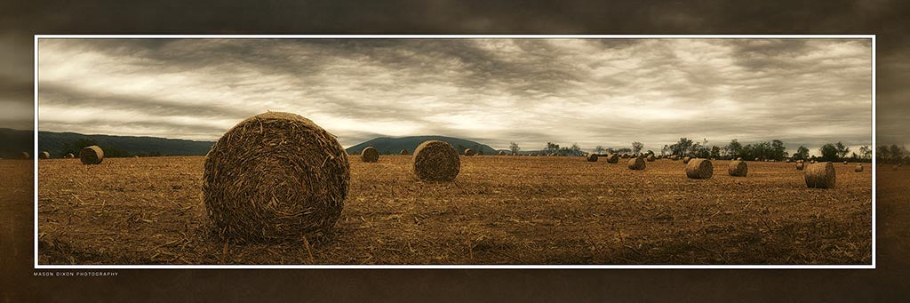 &quot;Winter Reserves&quot; 4x12 Panoramic Metal Print with Stand