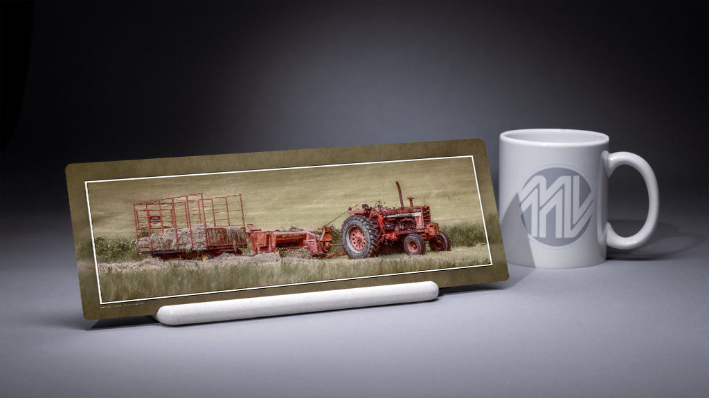 &quot;Lunch Break&quot; 4x12 Panoramic Metal Print with Stand
