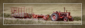 "Lunch Break" 4x12 Panoramic Metal Print with Stand