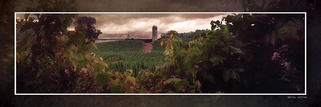 "The Hidden Harvest" 4x12 Panoramic Metal Print with Stand