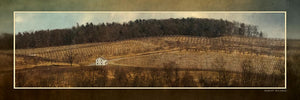 "Biglerville Orchard in Autumn" 4x12 Panoramic Metal Print with Stand